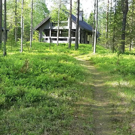 Pusikko